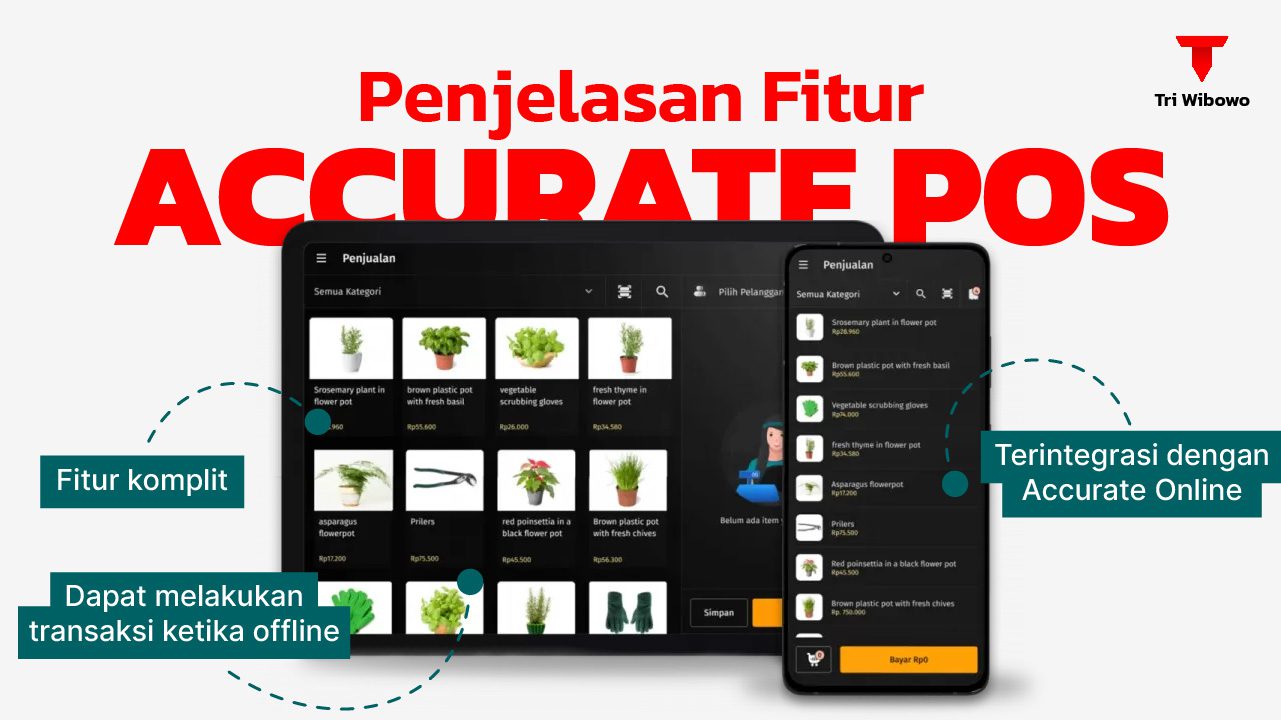 demo accurate pos-01